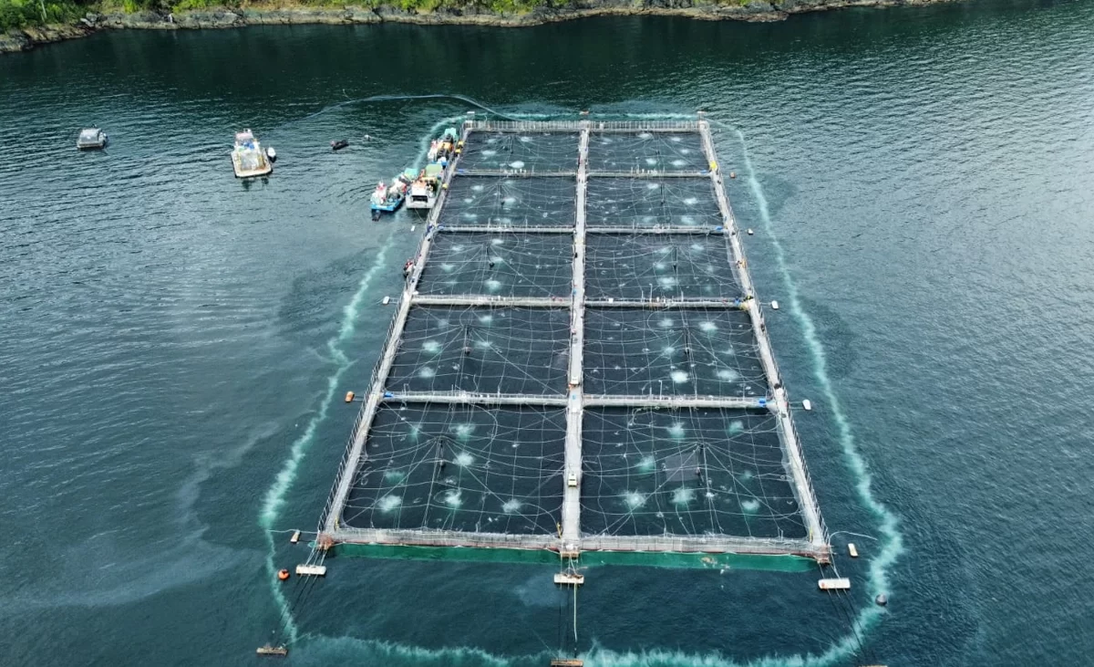 acuicultura-industruas