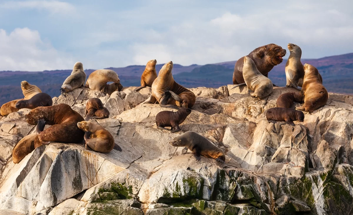 medio-ambiente_portada